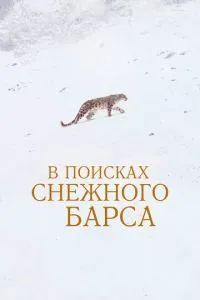 В поисках снежного барса